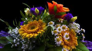 most por thank you flowers earth