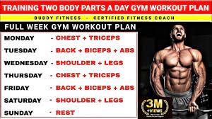 two body parts a day workout plan gym