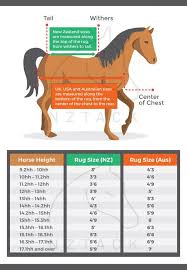 Horse Cover Sizing Chart How To Choose The Right Rug For