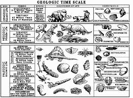 Index Fossils Activity Geologic Time Scale With Index