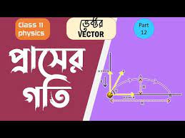 projectile motion in vector