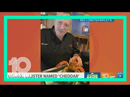 red lobster workers rescue rare orange