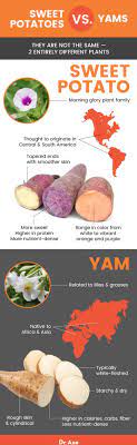 sweet potato nutrition benefits