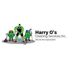harry o s cleaning services 17 photos