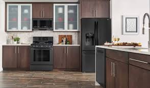 is black stainless steel right for your