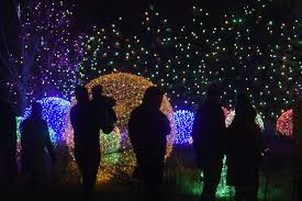 Trail of lights at chatfield farms takes you along a winding path glistening with lights that illuminate the colorado countryside. Photos Blossoms Of Light At Denver Botanic Gardens The Know