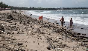 Image result for rubbish beach auckland