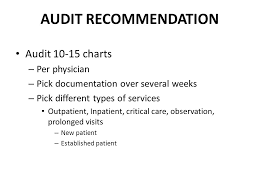 The Auditing Challenge Ppt Download