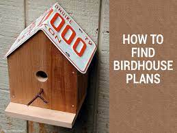 Where To Find Amazing Bird Feeder Plans