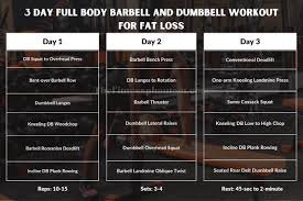 barbell full body home workout
