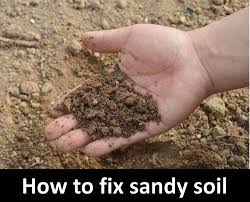 Does Clay Improve Sandy Soil Garden