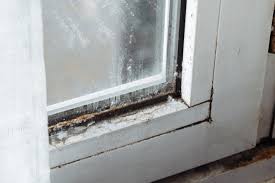Cleaning Windows Of Your Home How To