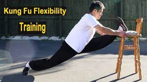 shaolin kung fu wushu flexibility