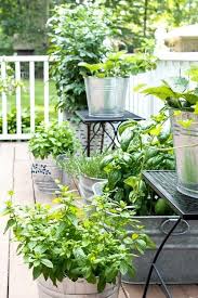 Tips For Starting A Kitchen Garden