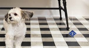 why tile is the best flooring option