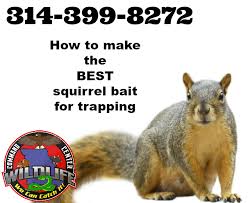 best squirrel bait for trapping