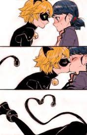 miraculous ladybug and chat noir