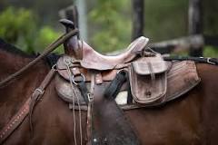 how-much-does-a-horse-saddle-cost