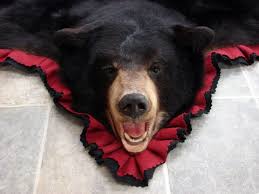 black bear skin rug cranberry red
