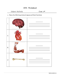 Introduce your first graders to the different parts of the human body with this colorful and fun 1st grade science worksheet. Cbse Evs Practice Worksheets Myself Body Parts For My Open Ended Math Problems Telling Evs Worksheets For Class 2 My Body Worksheets Multiplication Fact Drills Learning Numbers Worksheets Number Logic Puzzles Worksheet