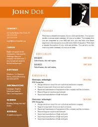 Professional CV Template   Free Resume Templates sample resume format