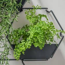 Living Wall Herb Garden Wall Planter