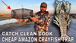 crayfish trap catch clean cook