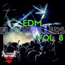 song from edm floorfillers vol
