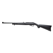 ruger 10 22 co2 air