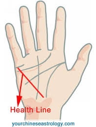 Palm Reading Guide Basics Of Hand Reading To Tell