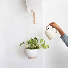 Wall Hook For Hanging Plants Wood Plant