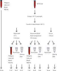 dna from frozen whole blood sle