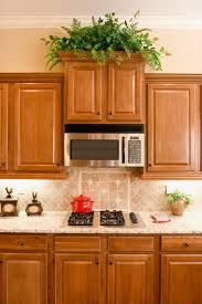 Maybe you would like to learn more about one of these? Cleaning Odors From Kitchen Cabinets Thriftyfun
