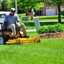 Grass Cutting Winnipeg Book 2019 Spring Clean Up Lawn Care