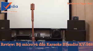 Bí Quyết Chọn Mua Loa Karaoke Cũ Và Chuẩn Không Cần Chỉnh