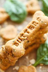 spinach carrot and zucchini dog treats