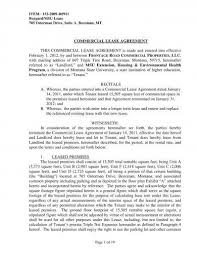 Get printable document in pdf, excel, word. 20 Commercial Lease Agreement Examples Pdf Word Examples
