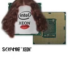 (we're not associated with sophie we are | twaku. Sophie Xeon C Pcmusic