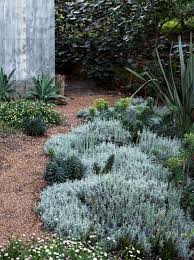 Austraian Native Garden Design Ideas