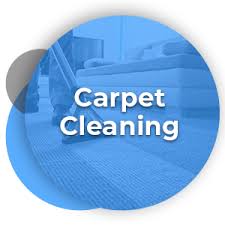 professional cleaning services in state