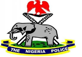 ceoafrica nigeria police force