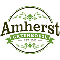 amherst greenhouse quality annuals