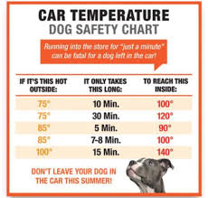 Know The Signs Heat Exhaustion In Pets