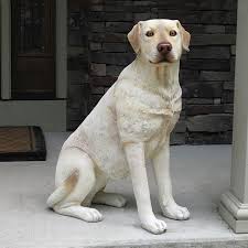 Yellow Labrador Statue 32in H Made
