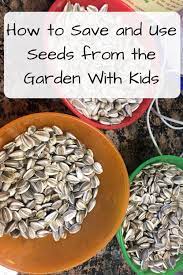 Seeds From The Garden With Kids