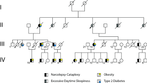 Family Pedigree Four Generation Pedigree Of The Spanish