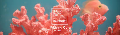 Pantone Color Of The Year 2019 Palette Exploration Living