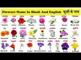 flowers name in hindi and english