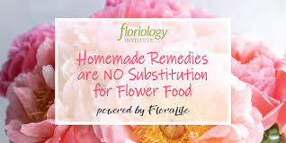 Homemade Remedies Are No Substitution