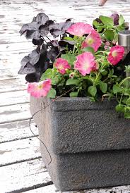 Create a mold for your concrete flower pot. How To Make Hypertufa Pots And Faux Stone Planters Food Bloggers Of Canada
